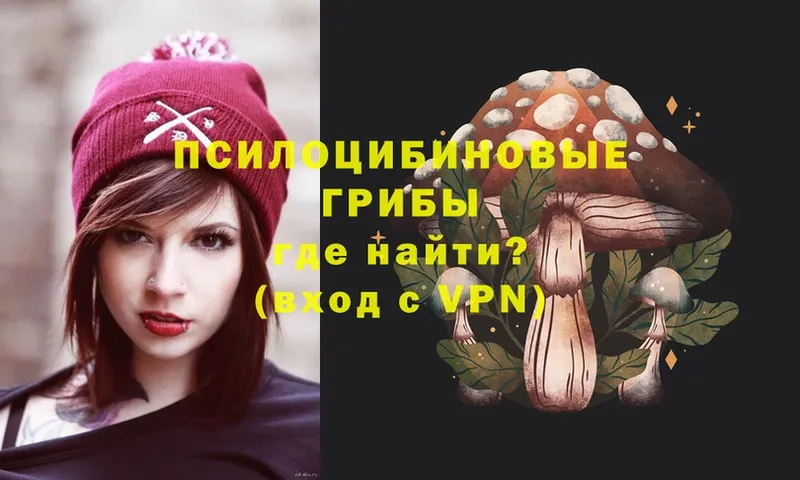 как найти закладки  Анива  Псилоцибиновые грибы Psilocybine cubensis 